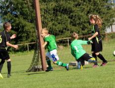 PG Soft Gaming-西悉尼流浪者主场氛围火爆，球迷热情助阵