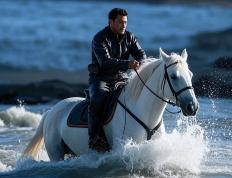 PG Soft Gaming-白马奋勇挑战黑马，誓不罢休